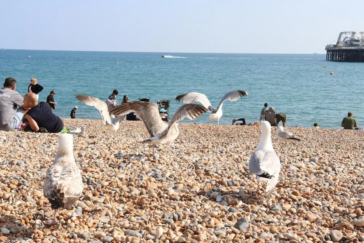 Central Costal Getaway Brighton Apartamento
