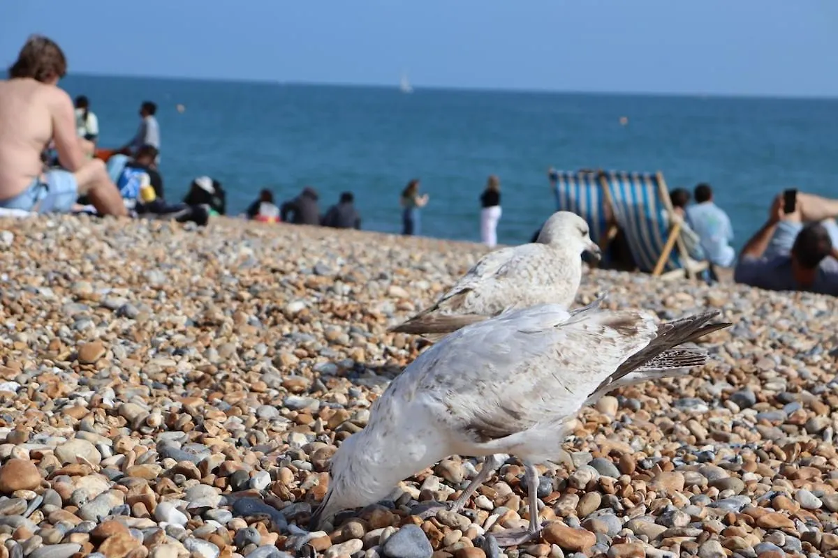 Central Costal Getaway Brighton